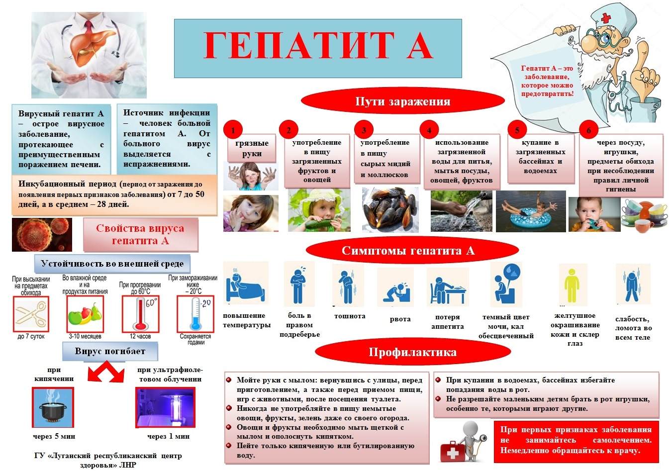 Профилактика вирусного гепатита.